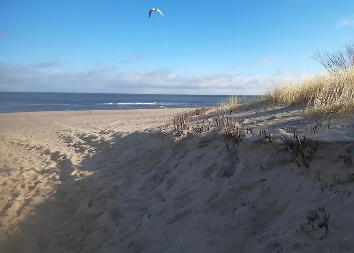 Concordia Władysławowo